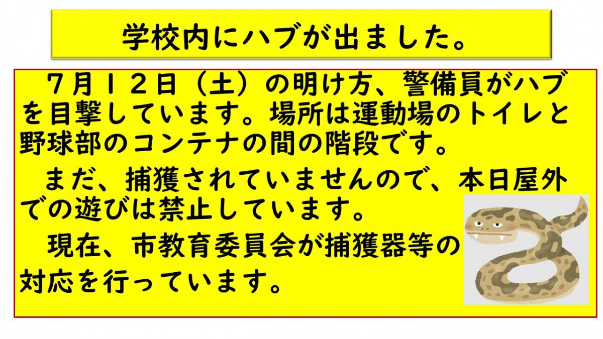 学校にハブがでましたの画像