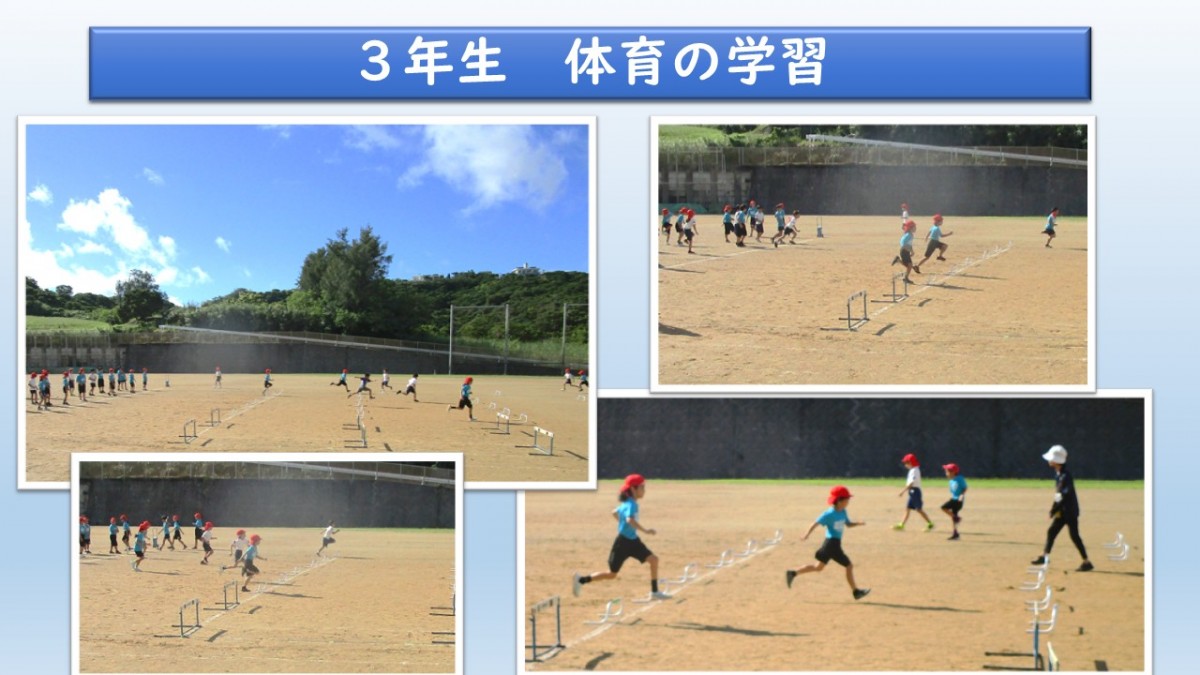 3年生　体育の学習の画像