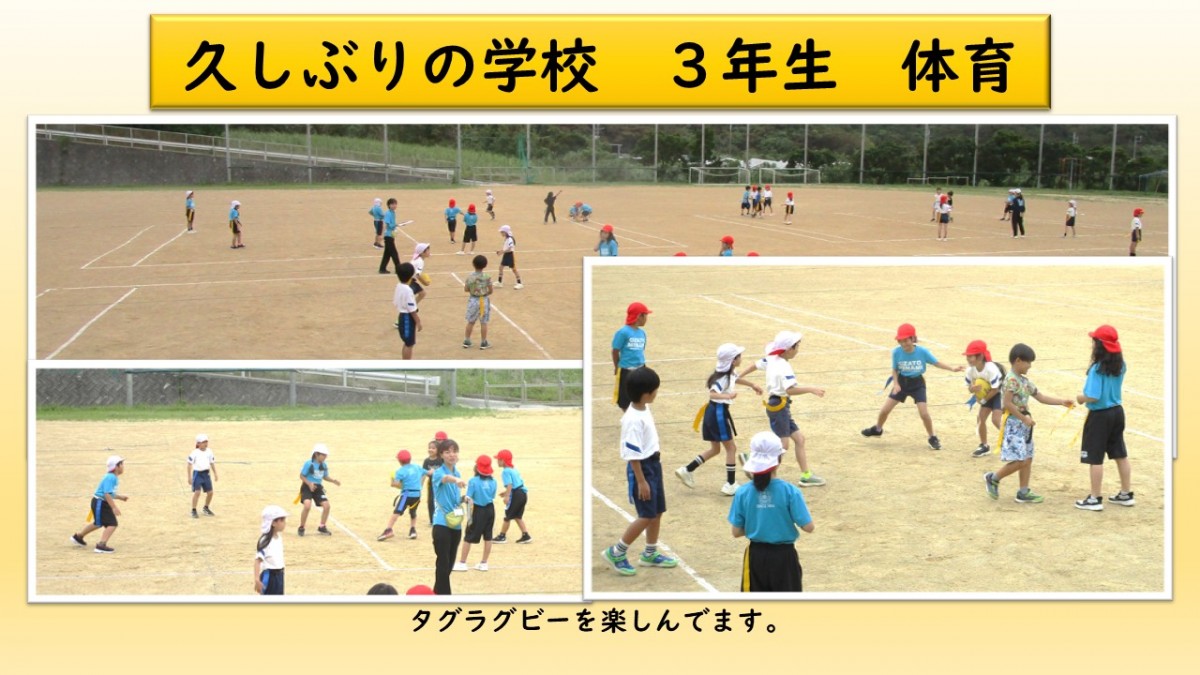 ３年生　体育の学習の画像