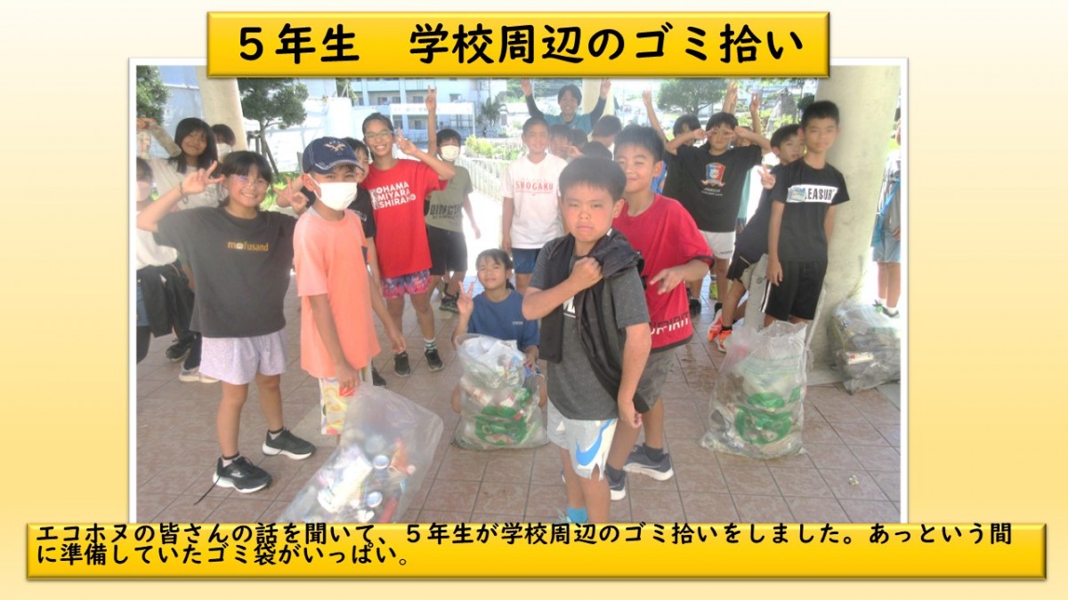 ５年生がゴミ拾いの画像