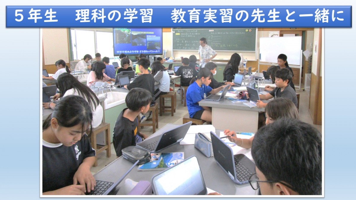 5年生　理科の学習の画像
