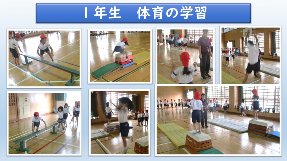 １年　体育の学習の画像