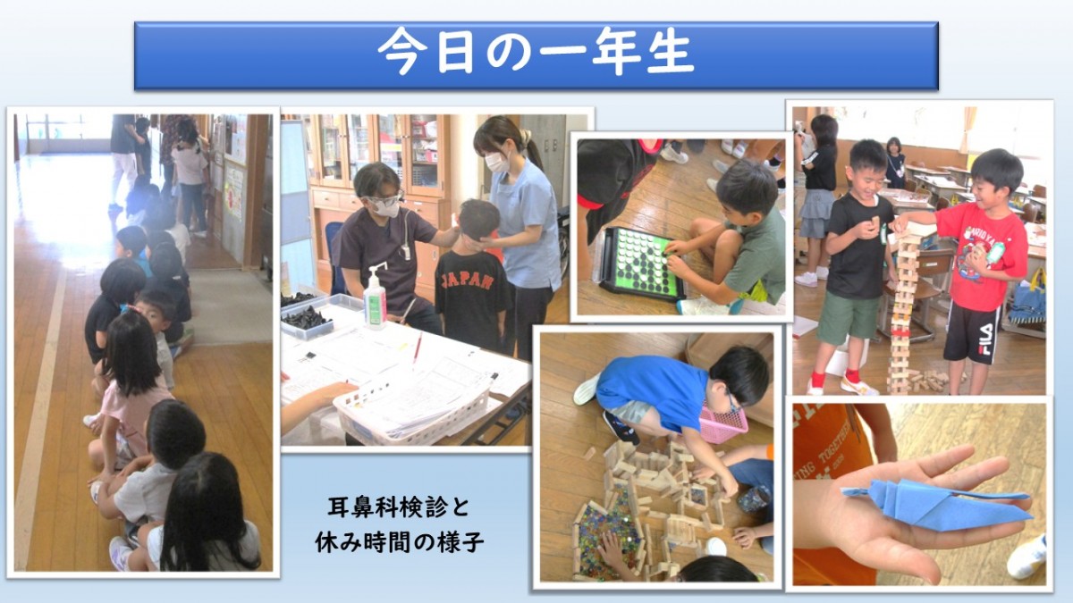 今日の一年生の画像