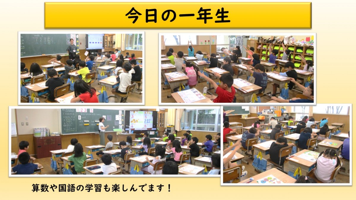今日の一年生の画像