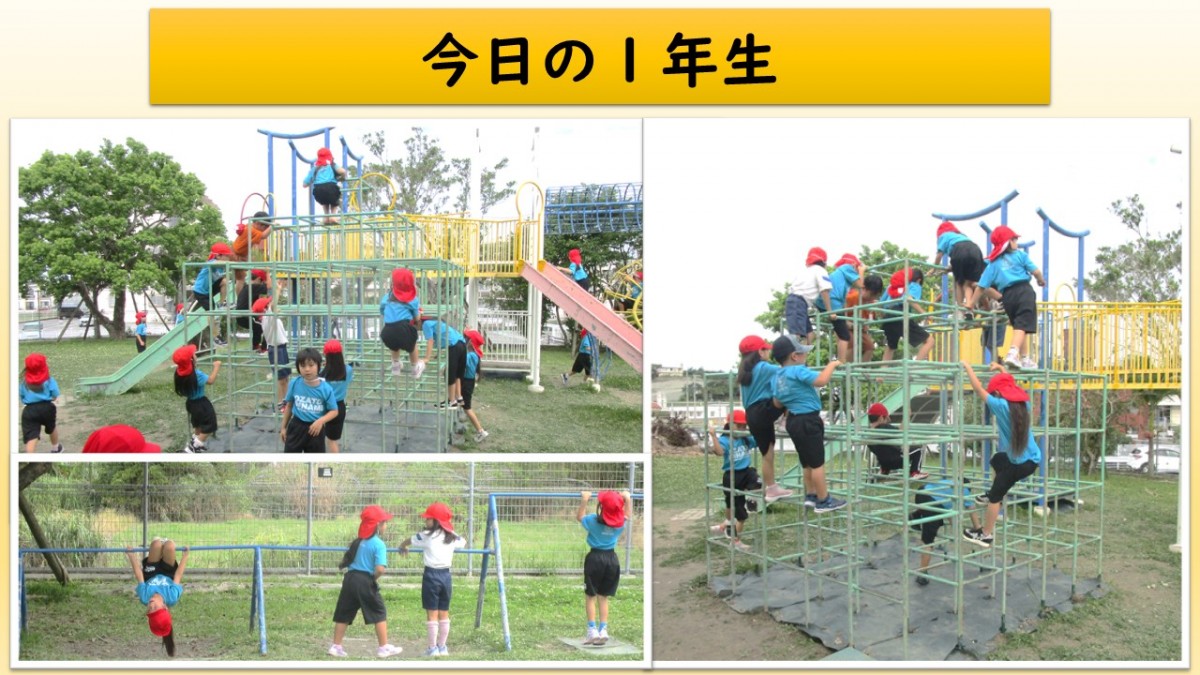 今日の１年生の画像