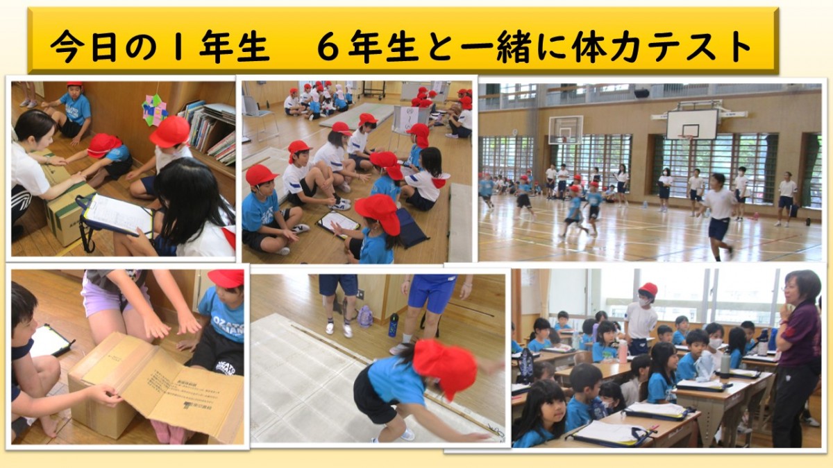 今日の1年生の画像