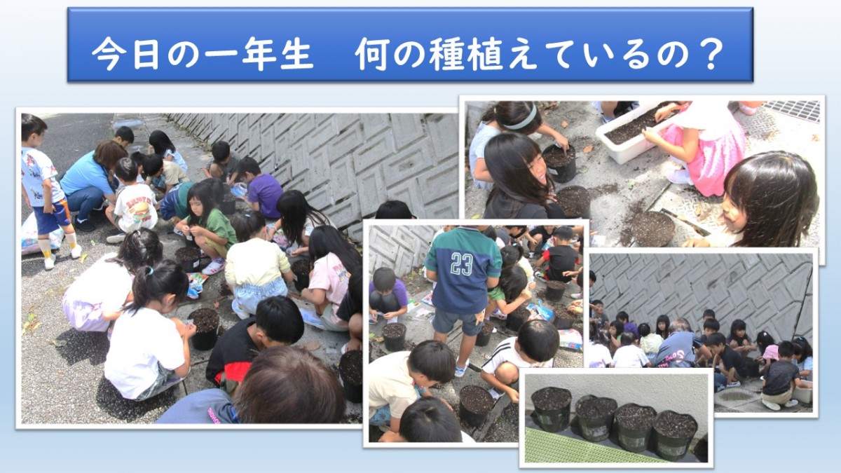今日の１年生の画像