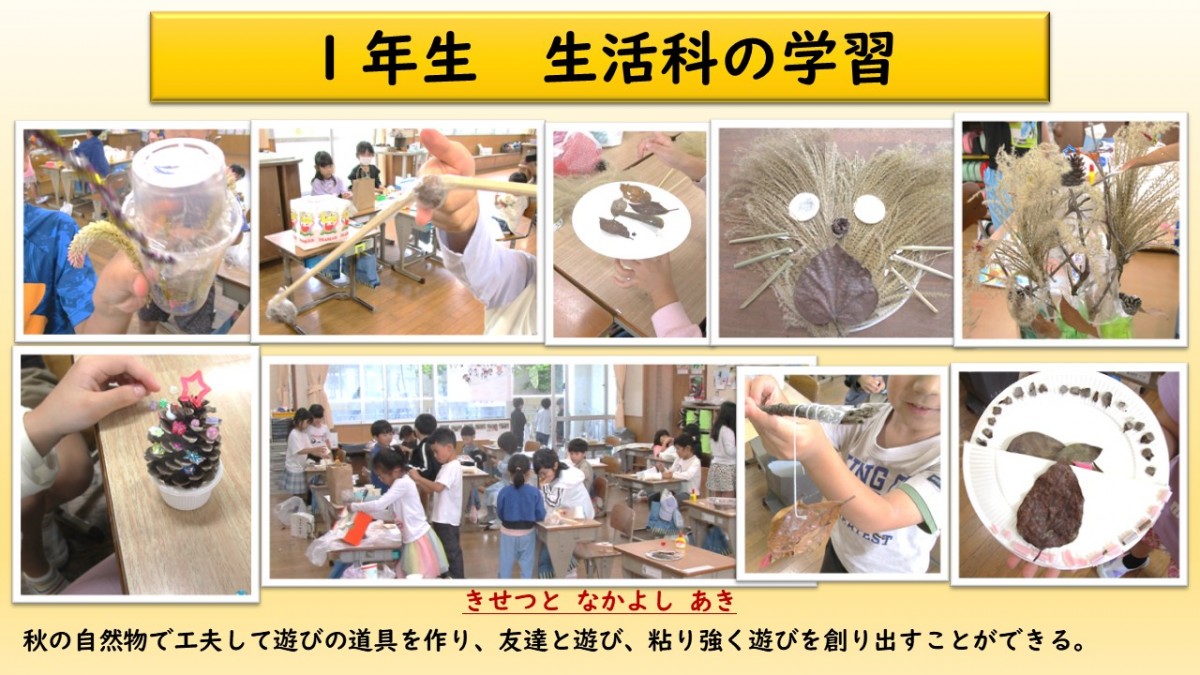 １年生　生活科の学習の画像