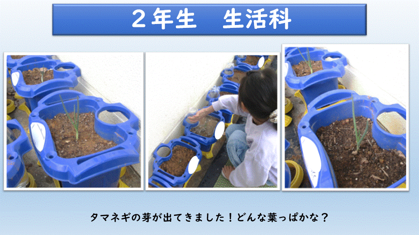 2年生　生活科の画像