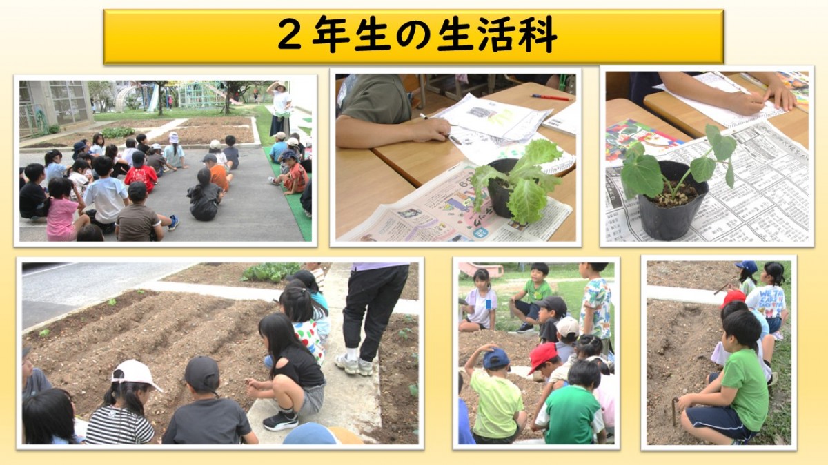 ２年生　生活科の画像