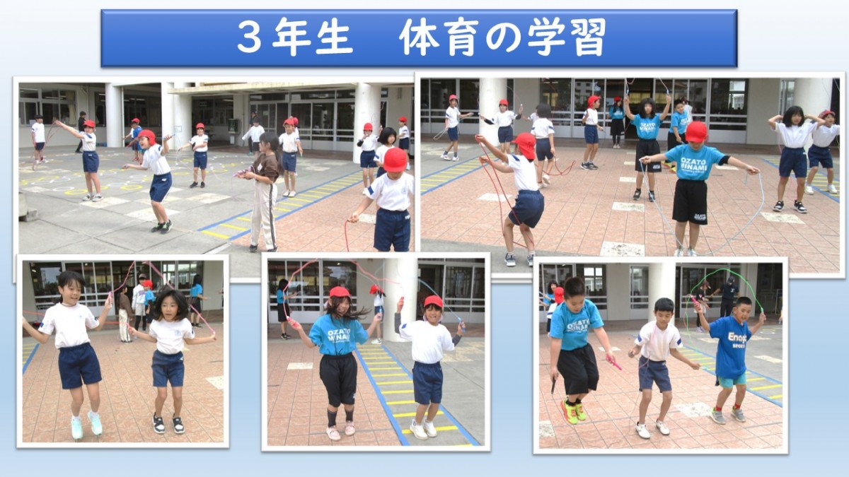 3年生　体育の学習の画像