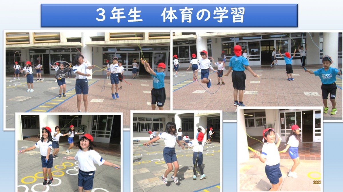 3年生　体育の学習の画像