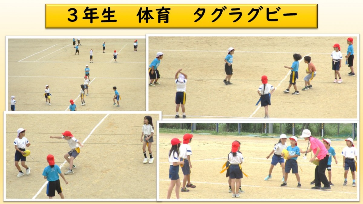 ３年生　体育の学習の画像