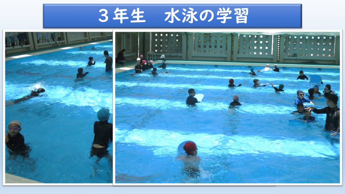 ３年生　水泳学習の画像