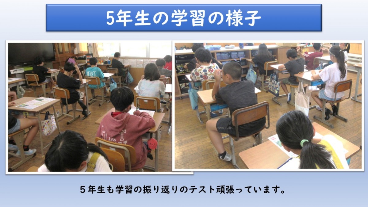 ５年生の学習の様子の画像