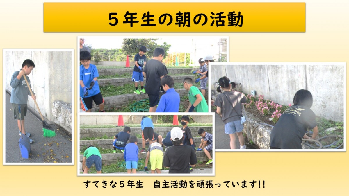 朝の活動　の画像