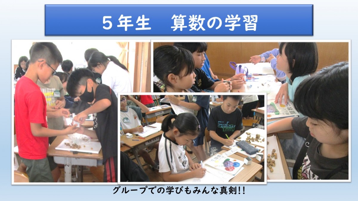 5年生　算数の学習の画像