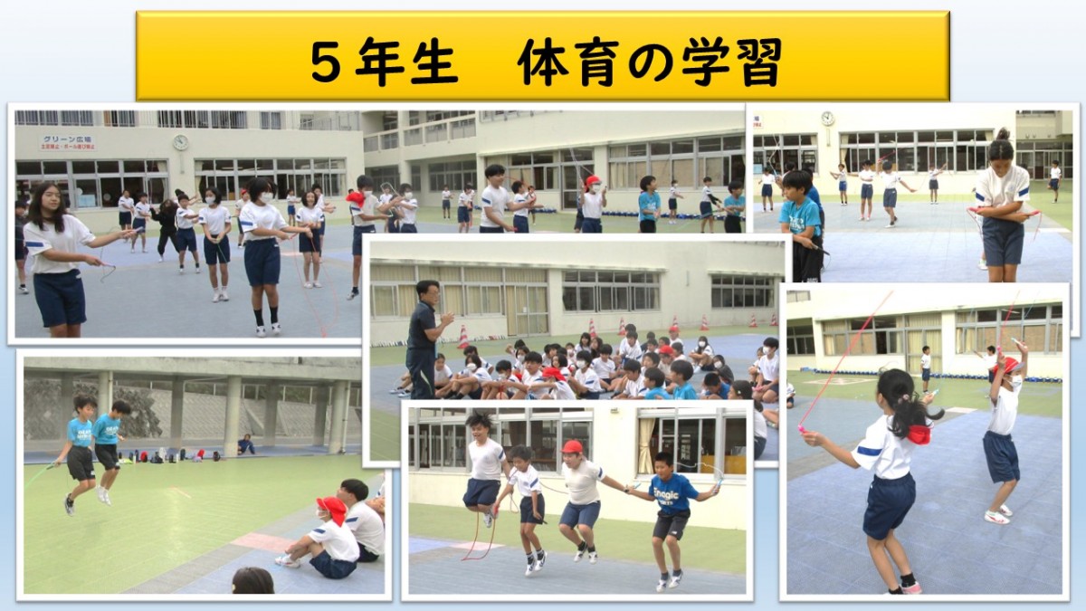 5年生　体育の学習の画像