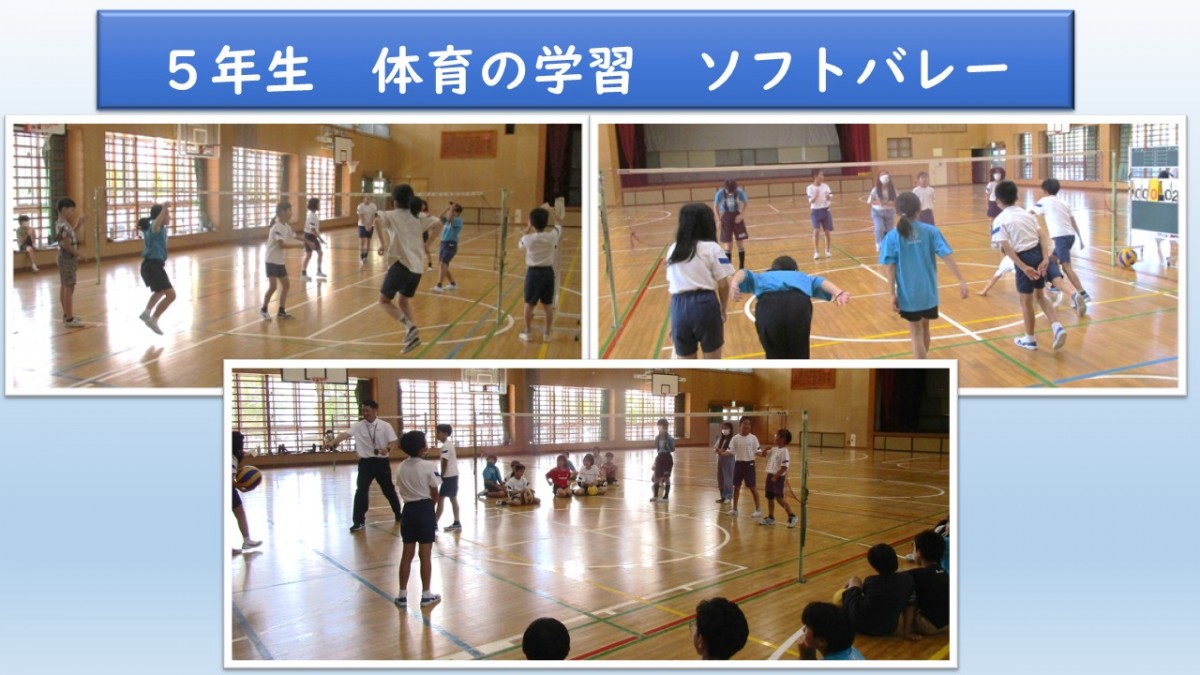 ５年生　体育の学習の画像