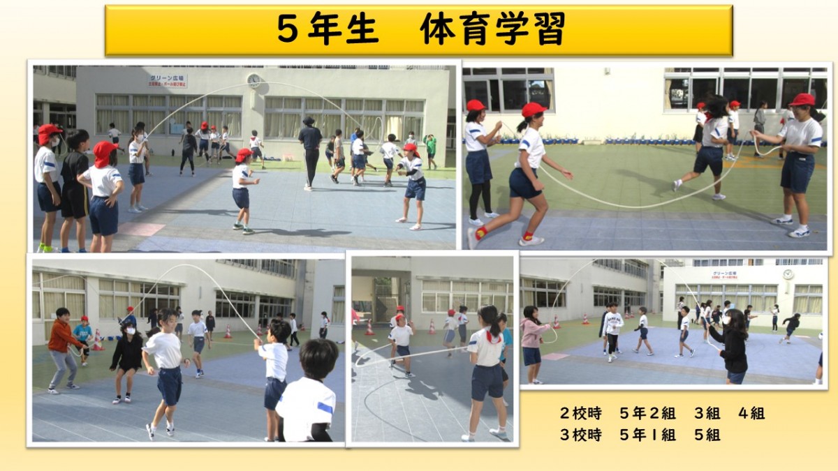 5年生　体育の学習の画像