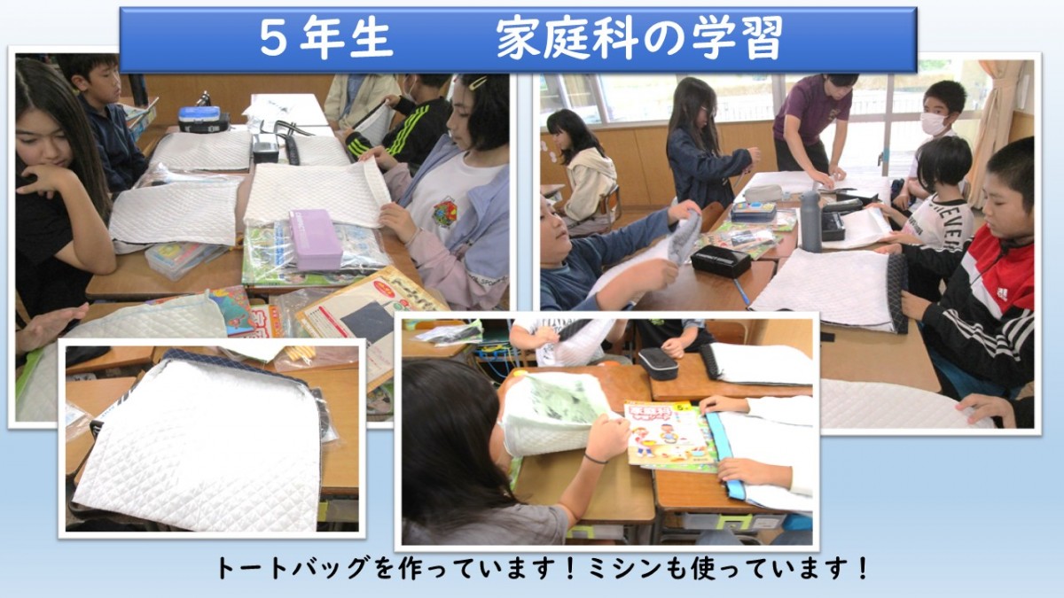 ５年生　家庭科の学習の画像