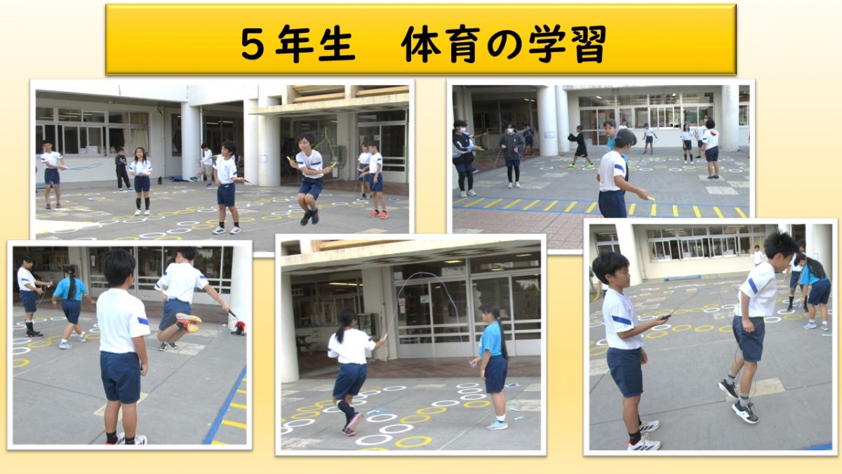５年生　体育の学習の画像