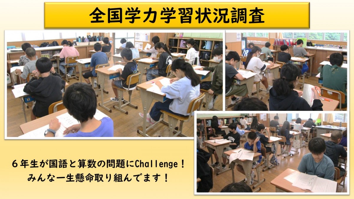全国学力学習状況調査の画像