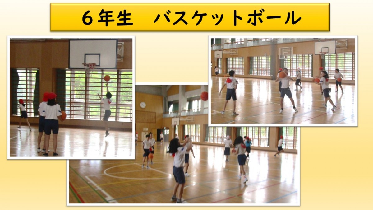 ６年生　体育の学習の画像