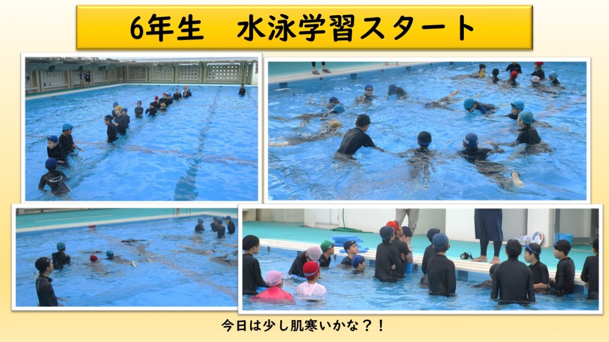 ６年生　水泳スタートの画像