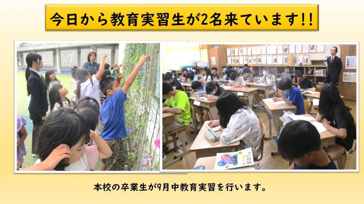 教育実習生が2名来ています！の画像