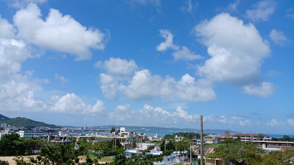 ５年生非行防止教室の画像