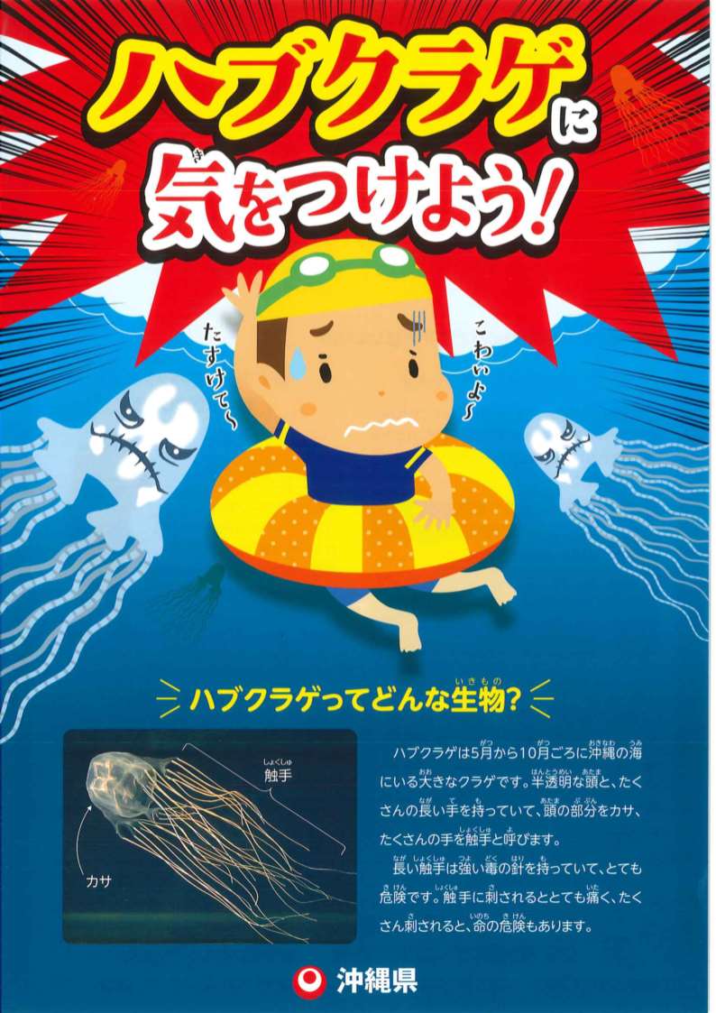 【注意喚起】ハブクラゲに気をつけようの画像