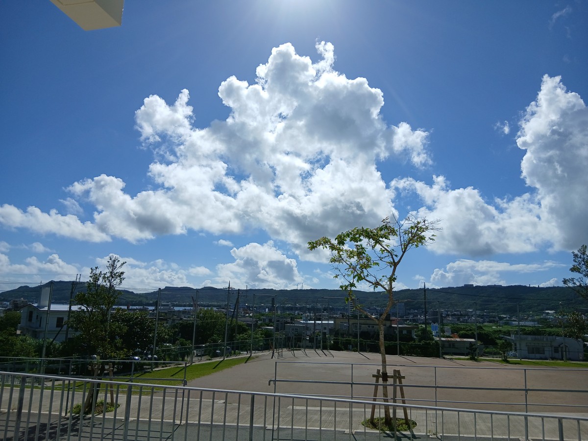 校外学習の画像