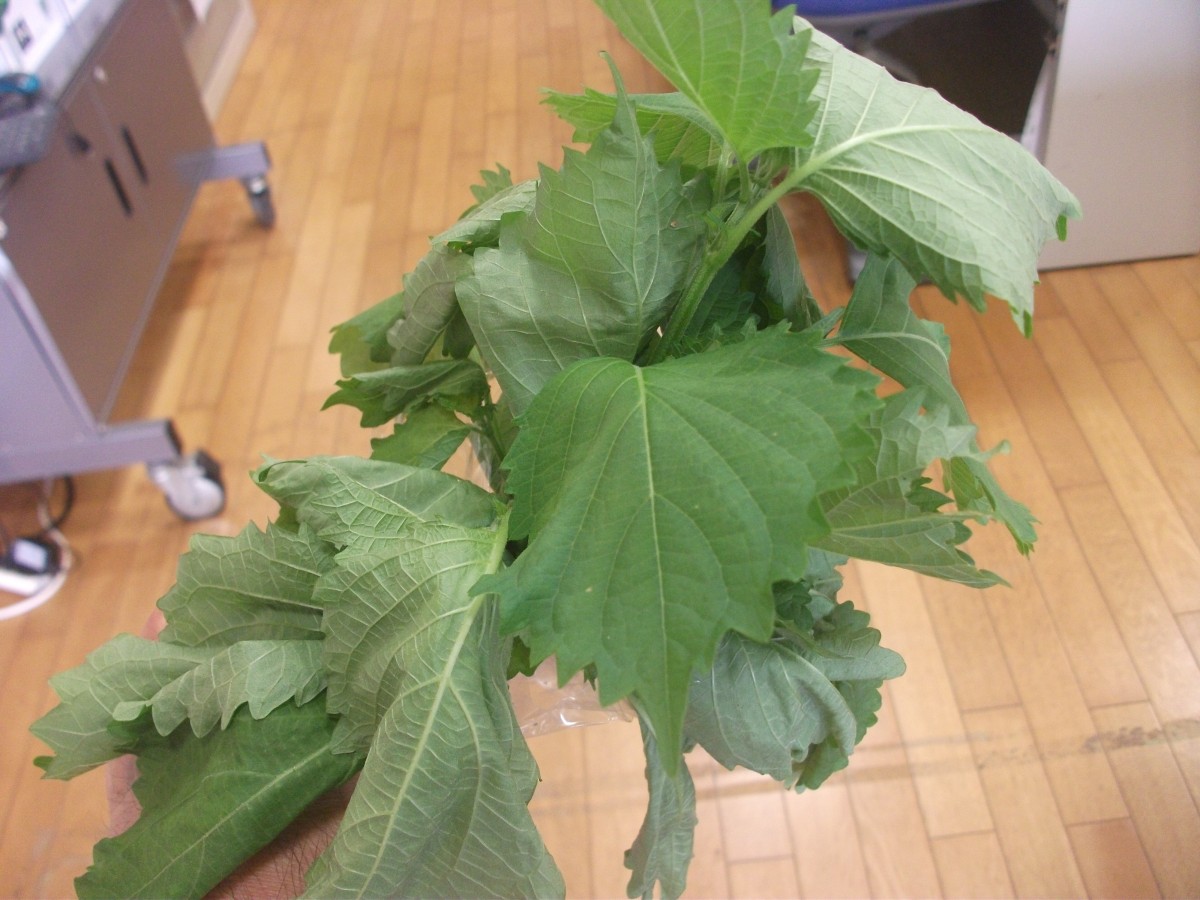 え～　いいんですか～？の画像