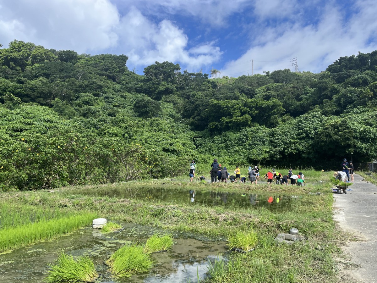 受水(ウキンジュ）走水(ハインジュ)の画像