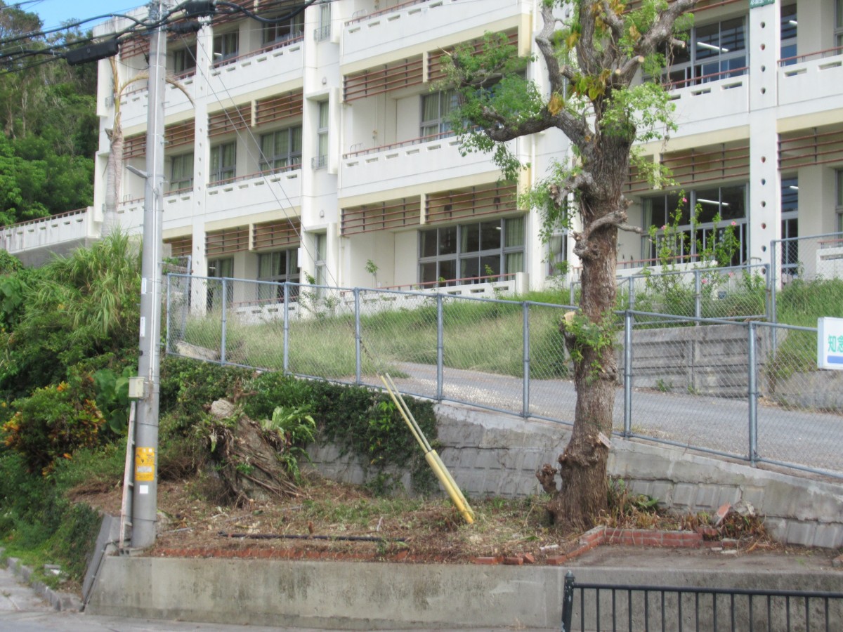 知念小学校バスケット部奉仕作業の画像