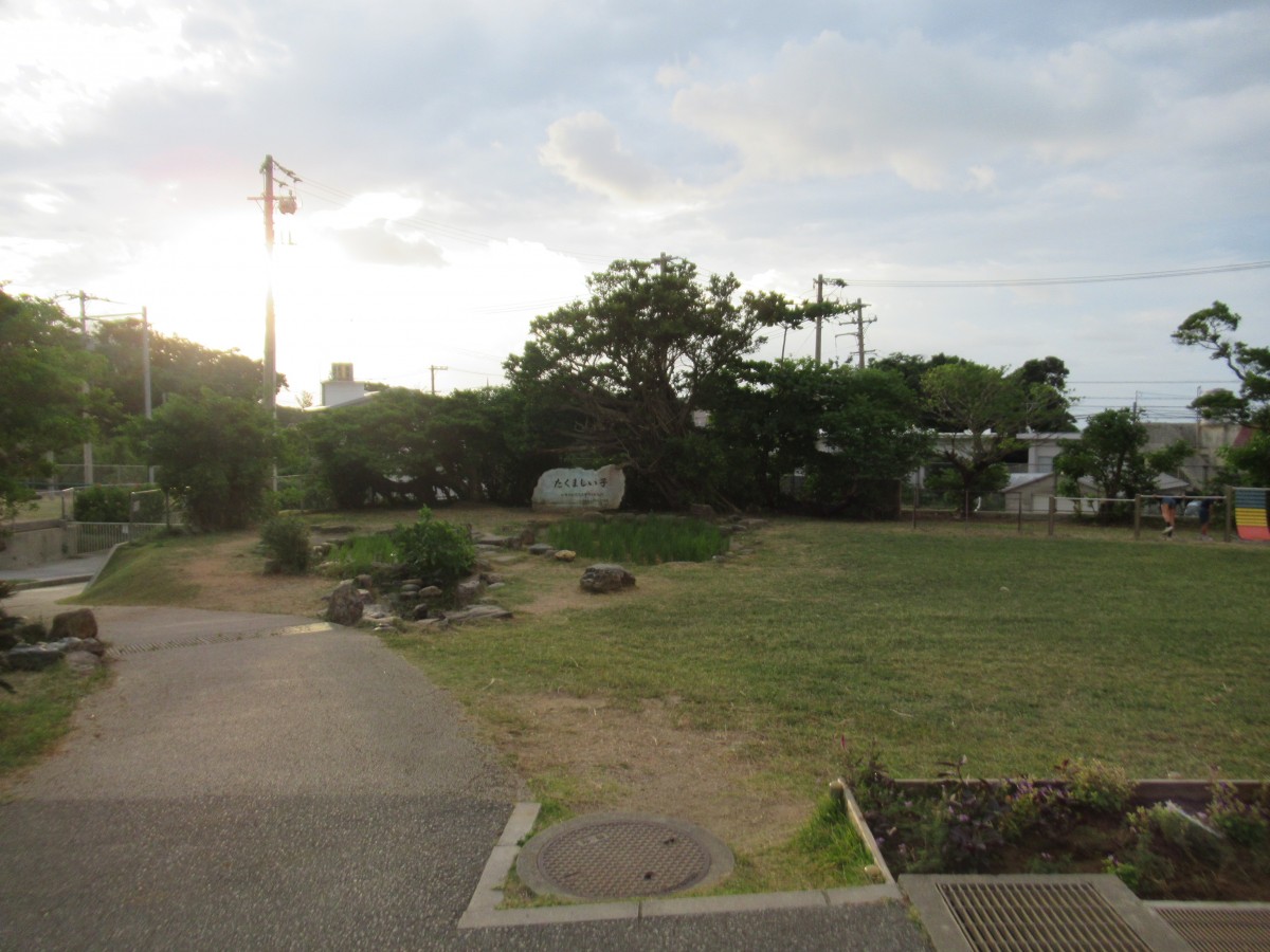 PTA作業（１０／２２）の画像