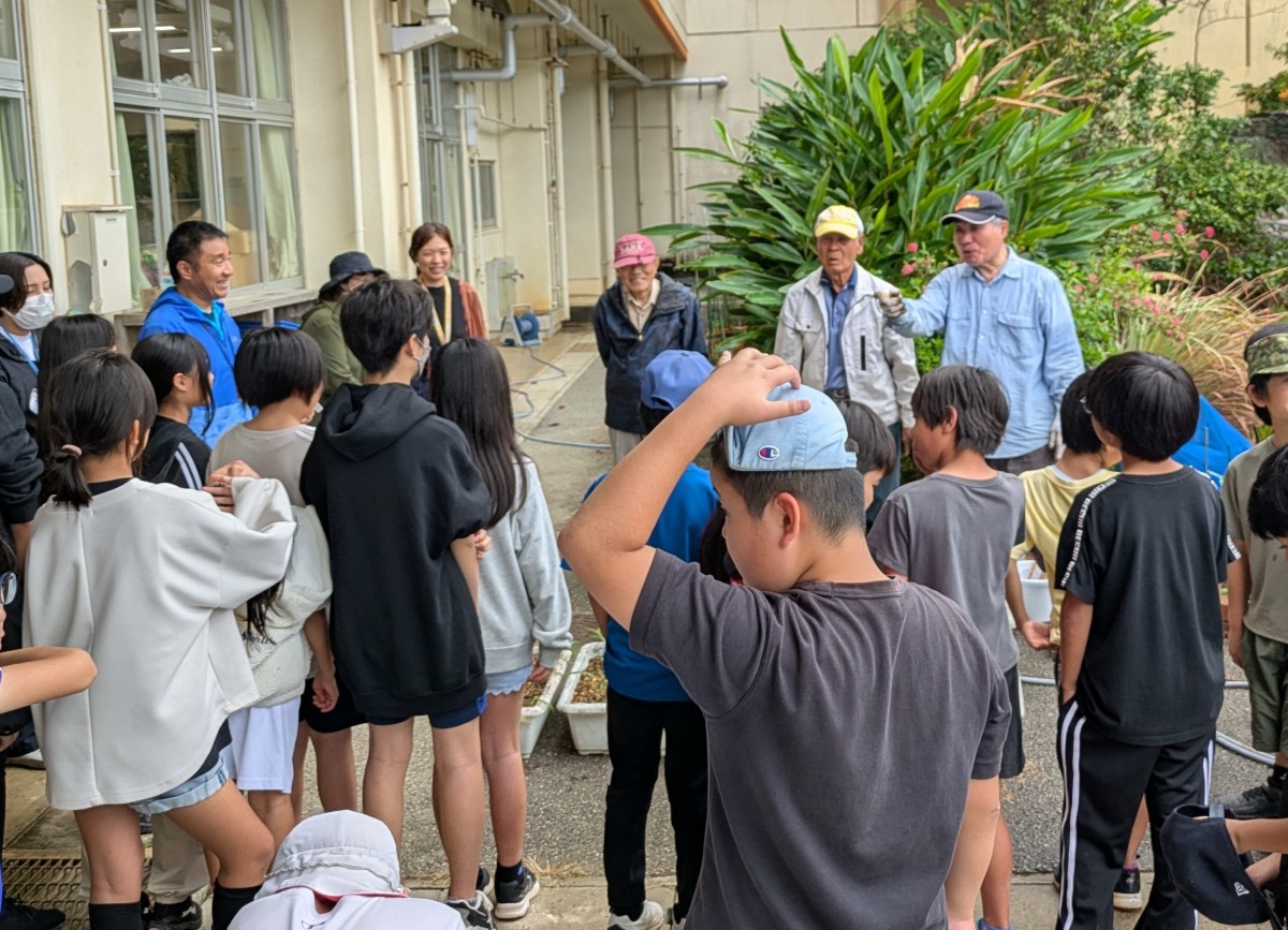 キバナノヒメユリ植え替えの画像